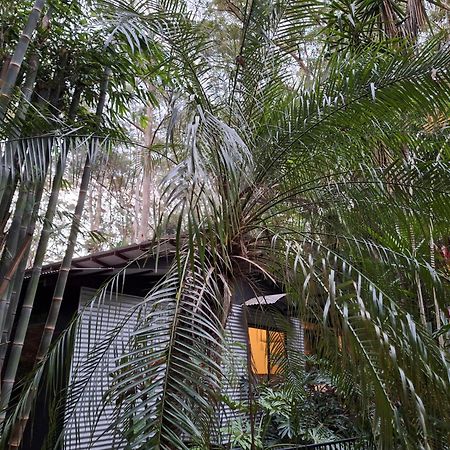 Alaya Escape Bed & Breakfast Eudlo Exterior photo