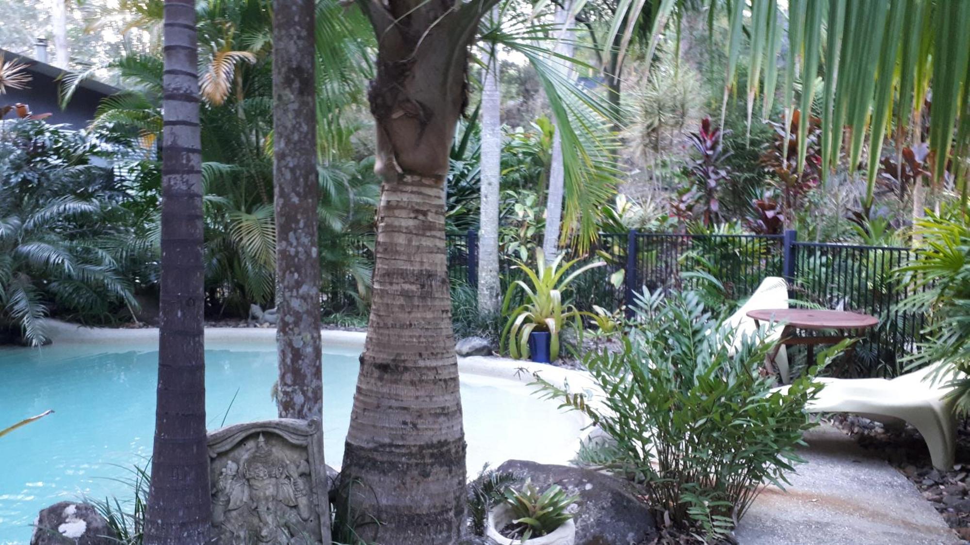 Alaya Escape Bed & Breakfast Eudlo Exterior photo