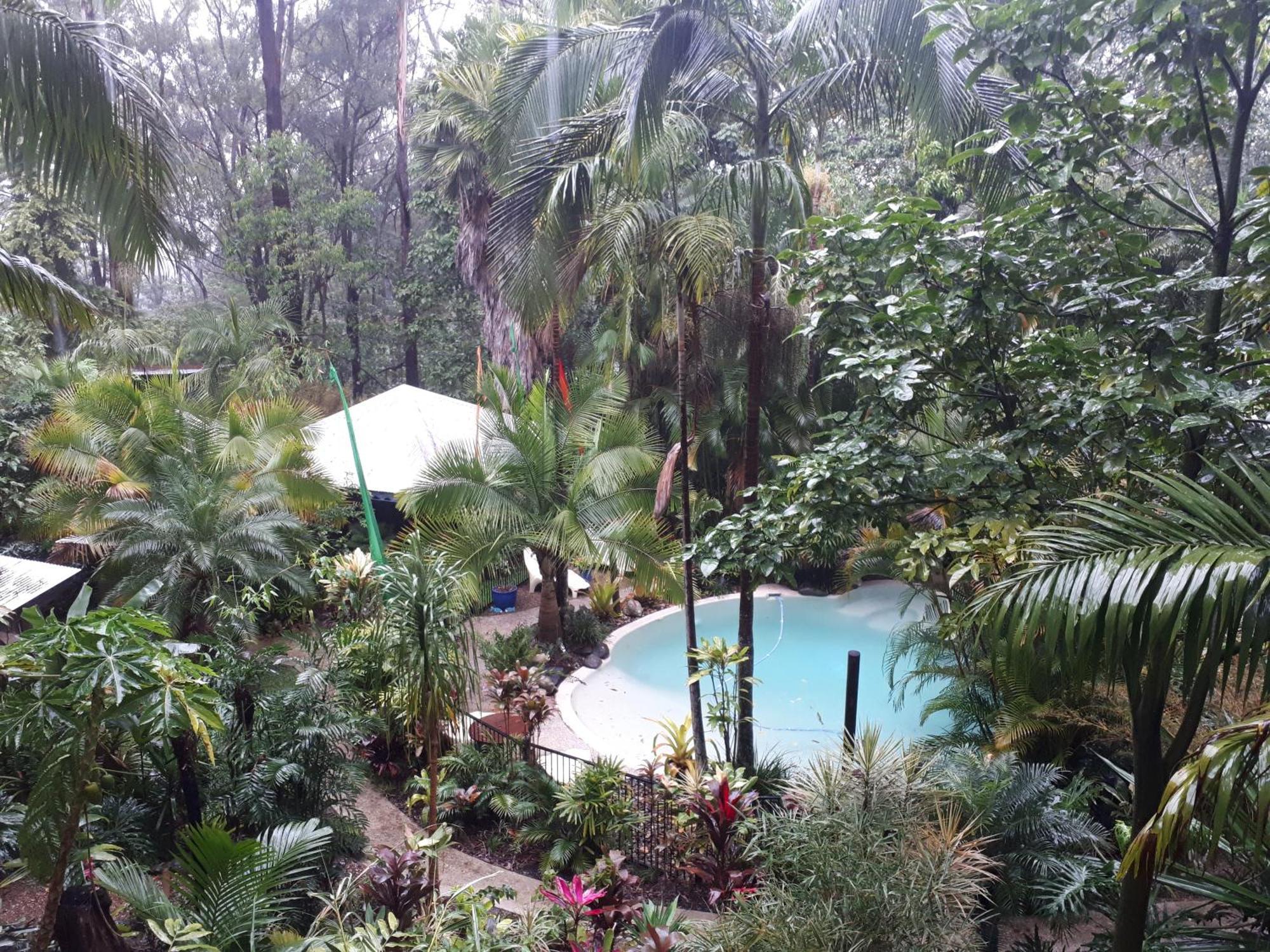 Alaya Escape Bed & Breakfast Eudlo Exterior photo