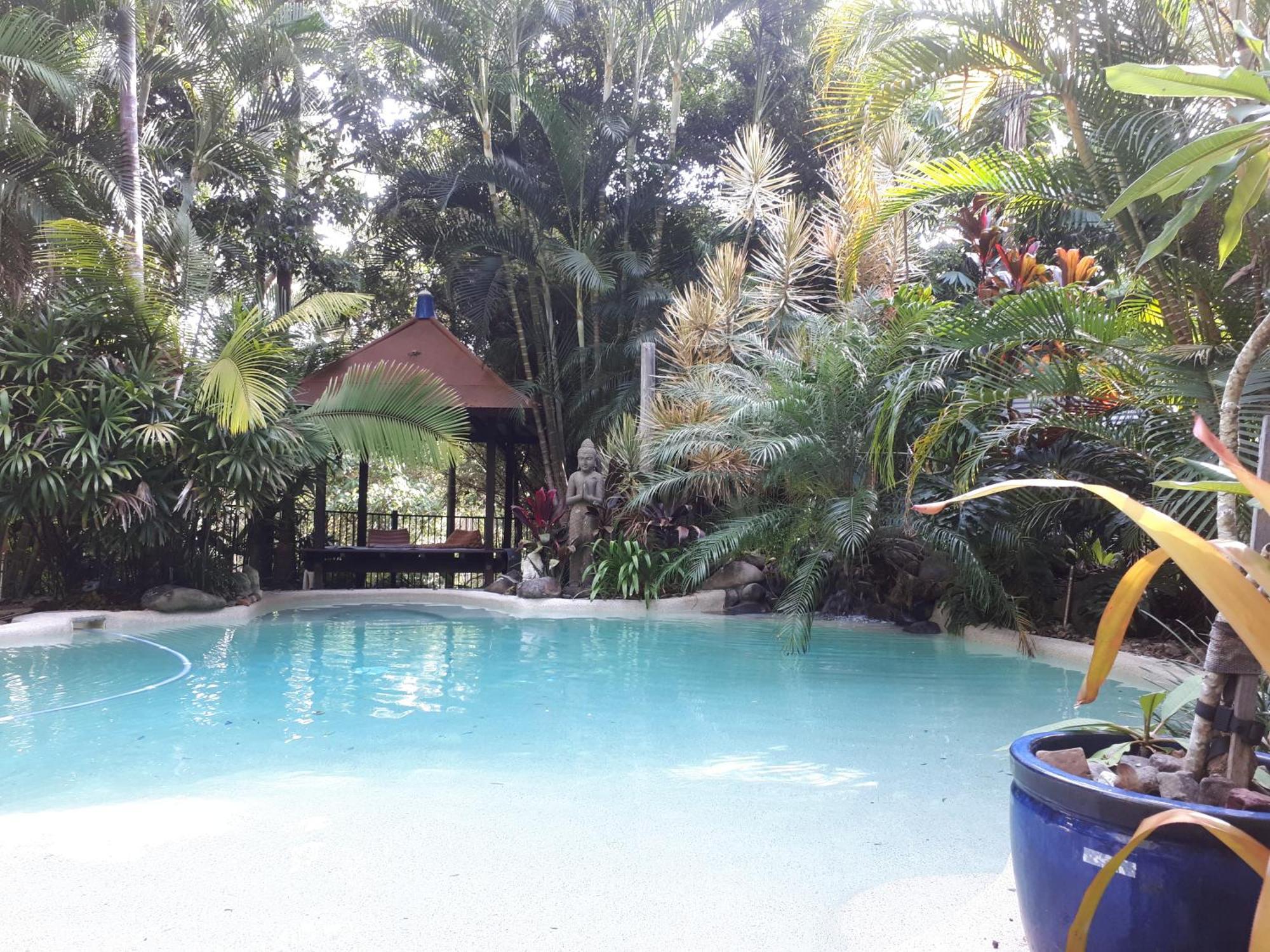 Alaya Escape Bed & Breakfast Eudlo Exterior photo