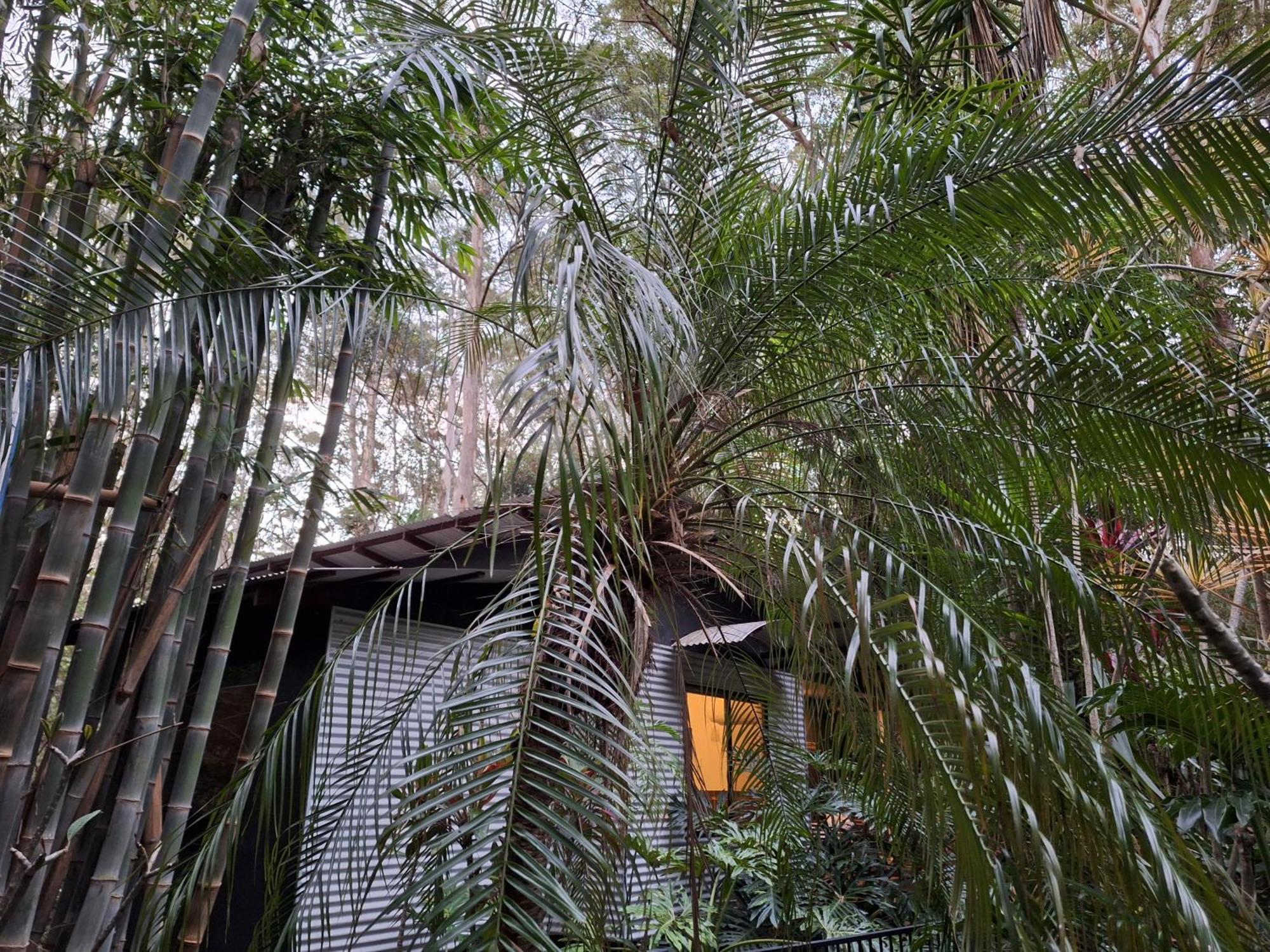 Alaya Escape Bed & Breakfast Eudlo Exterior photo
