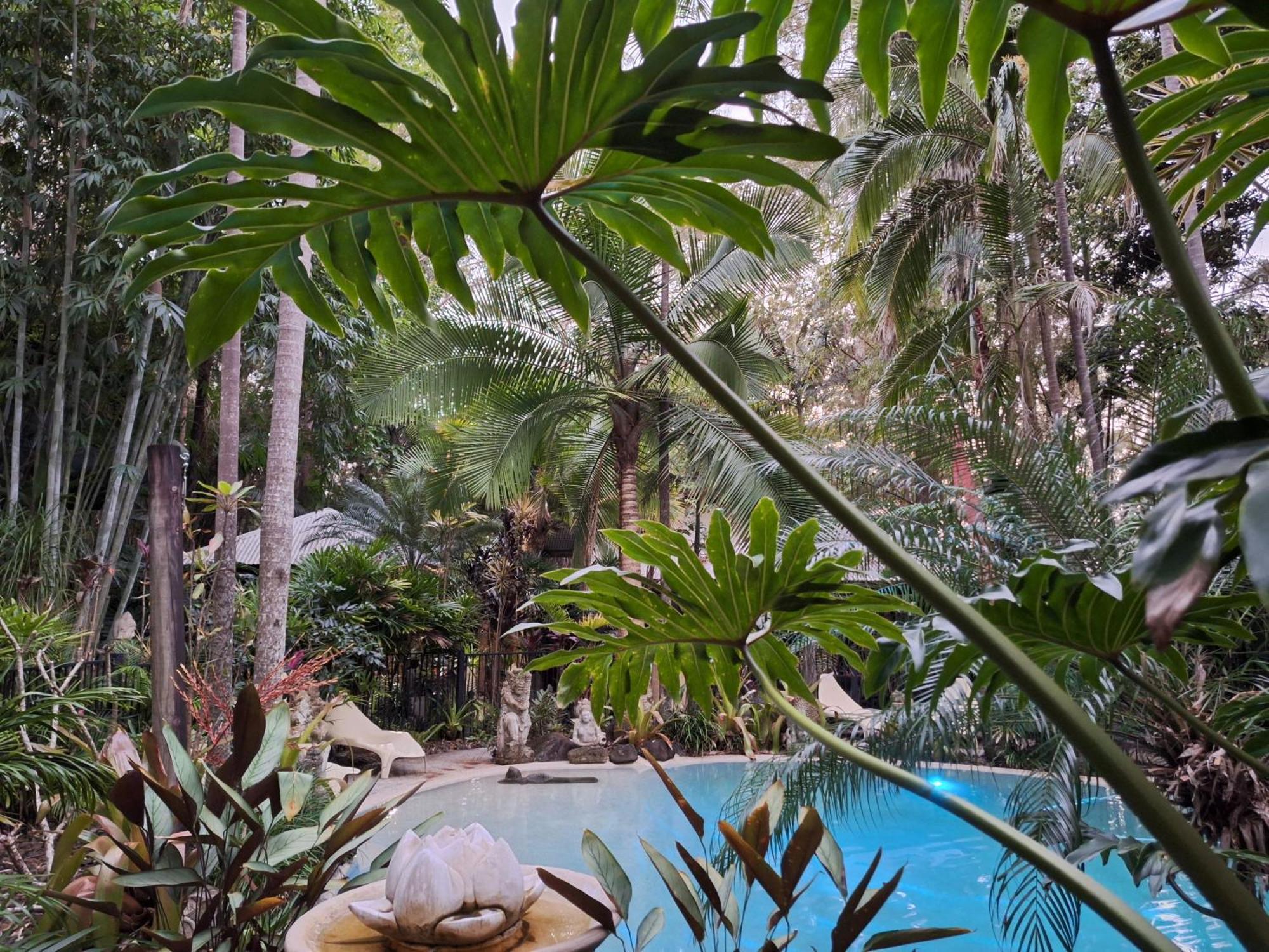 Alaya Escape Bed & Breakfast Eudlo Exterior photo